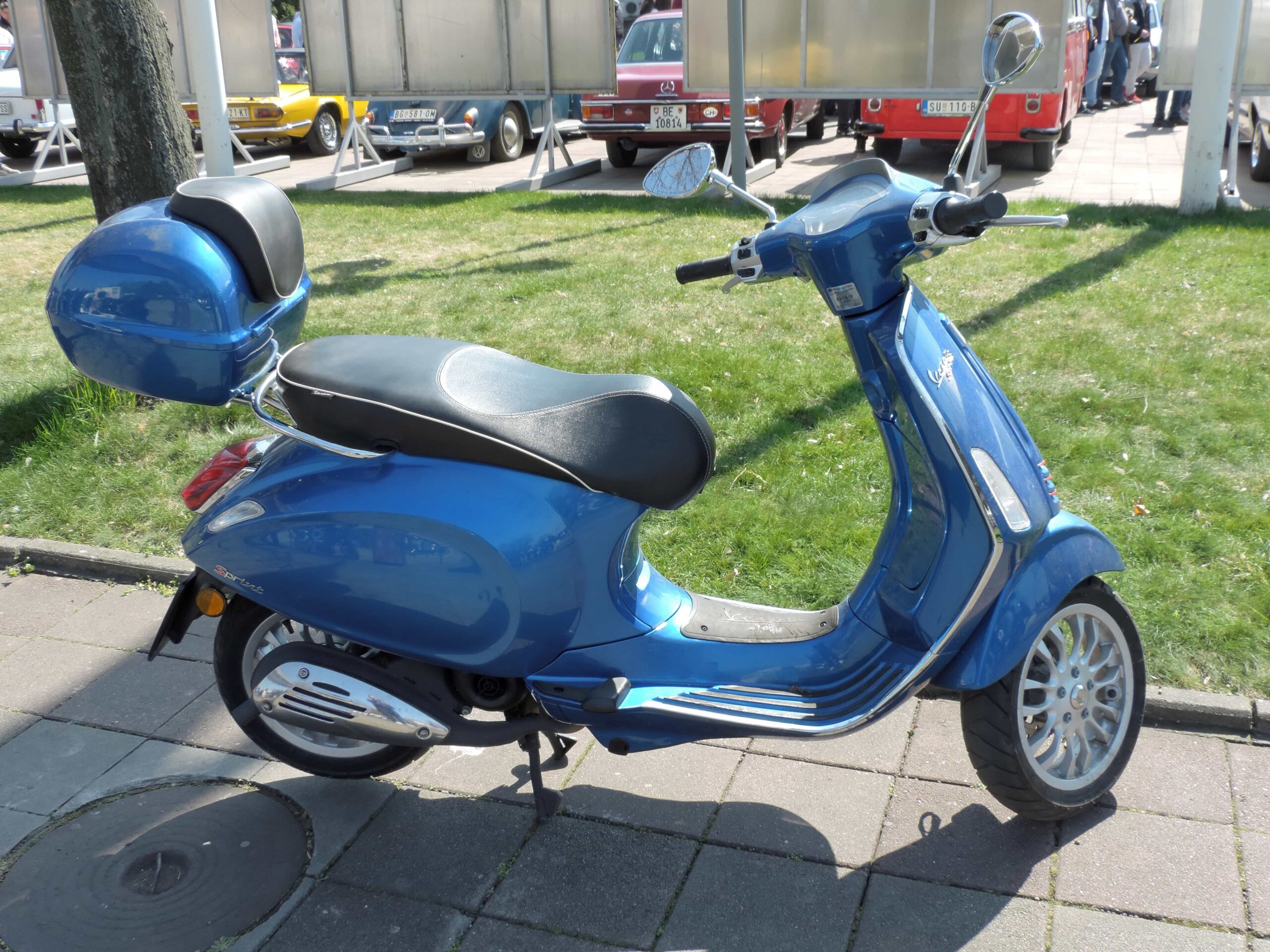 Jenis vespa