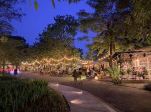 Urban Forest Cipete