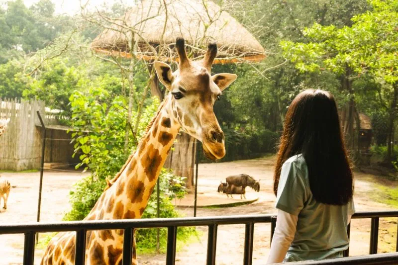 Kisruh sewa lahan Kebun Binatang Bandung