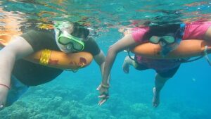 Tips dan Kegiatan Snorkeling di Kepulauan Auri 06-07-2023