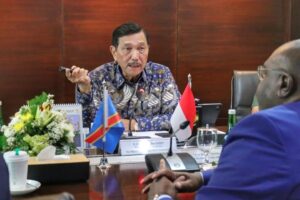 luhut hilirisasi industri