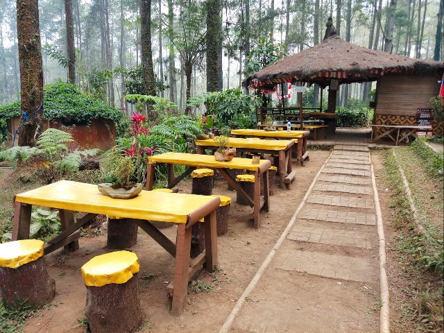Aktivitas Menarik Wisata di Hutan Pinus Pal 16 17-7-2023