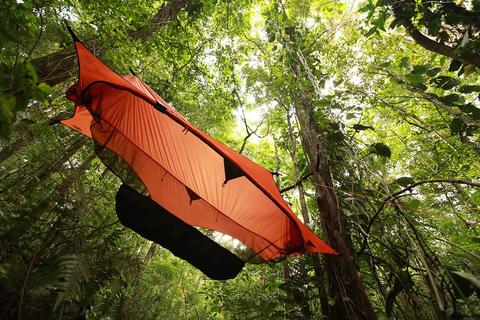Aktivitas Menarik Wisata di Hutan Pinus Pal 16 17-7-2023
