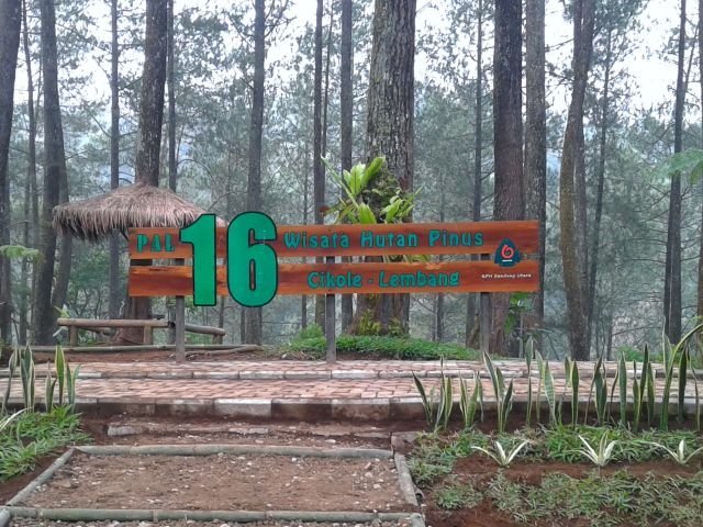 Aktivitas Menarik Wisata di Hutan Pinus Pal 16 17-7-2023