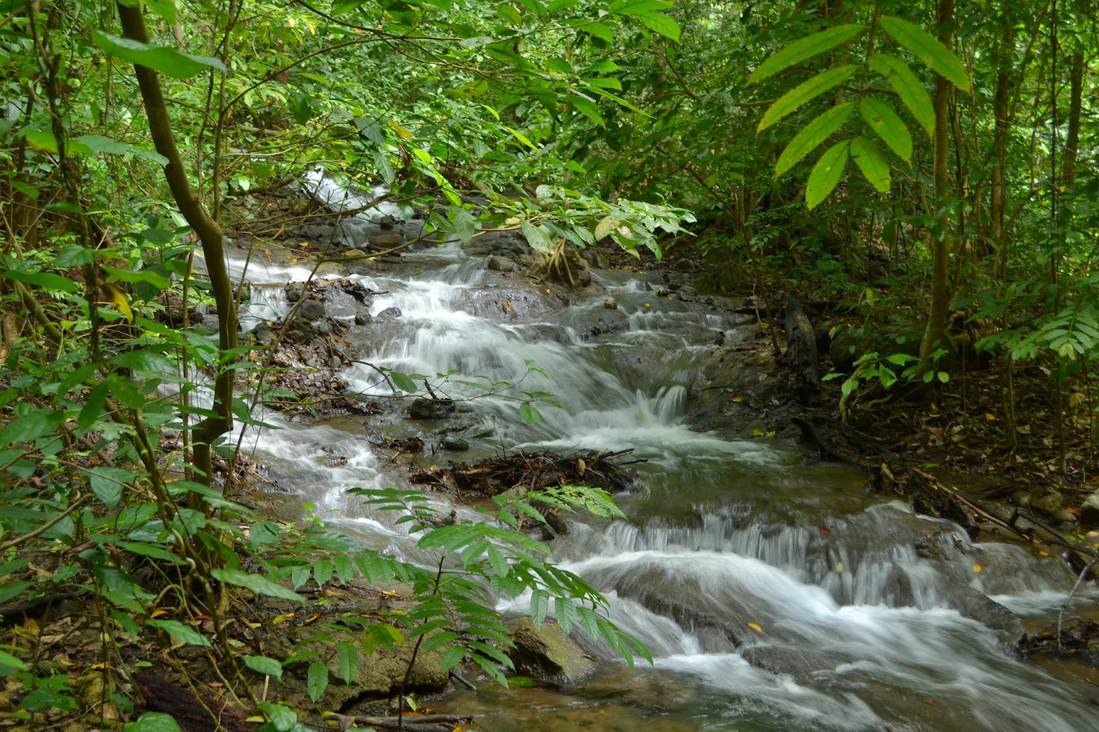 Bukit Liaga Ende 