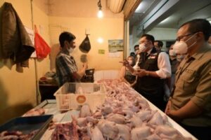 Harga Cabai