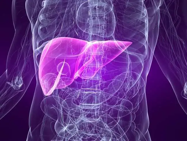 Hepatitits- B-Penyebab- dan-Gejalanya