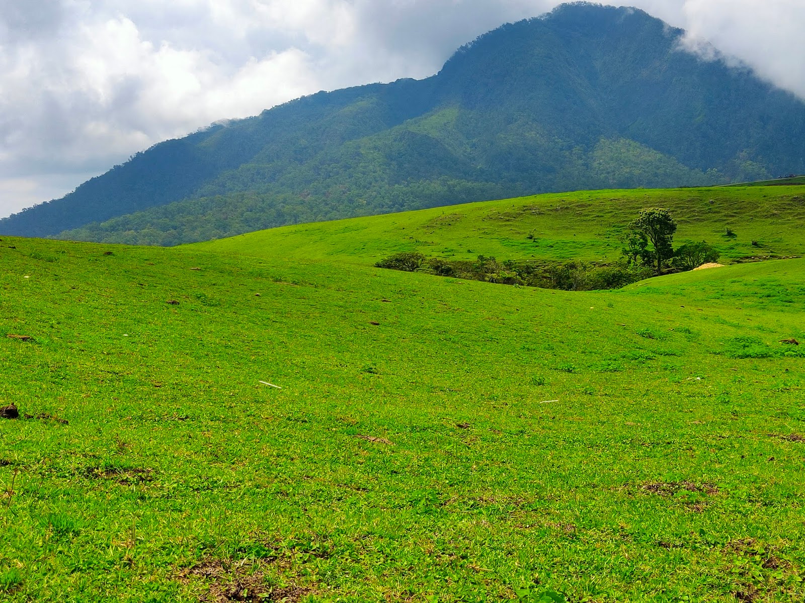 Bukit Liaga Ende 