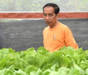 Jokowi UU Kesehatan 13-7-2023