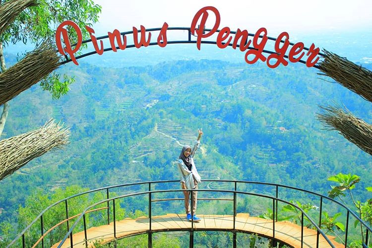 Keindahan Hutan Pinus Pengger yang Memikat Hati16-7-2023
