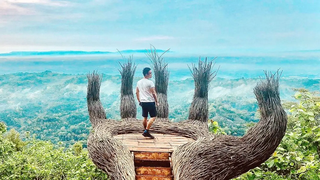 Keindahan Hutan Pinus Pengger yang Memikat Hati16-7-2023