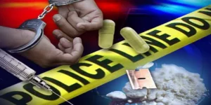 WNI di Jepang Ternyata Ditangkap Kasus Narkoba