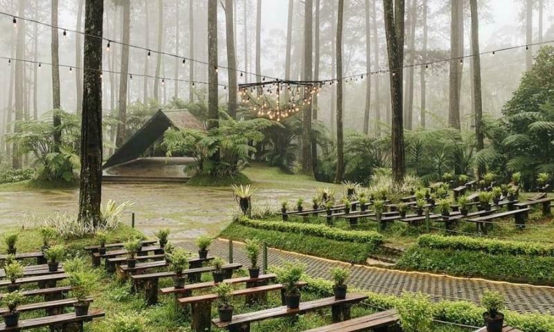 Melirik Bunga Cantik di Orchid Forest Cikole 23-7-2023