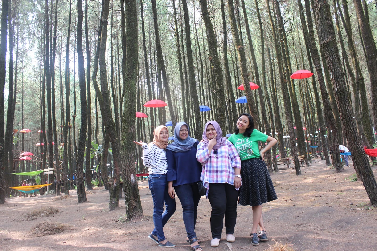Menikmati Kesunyian Alam di Hutan Pinus Semeru18-7-2023