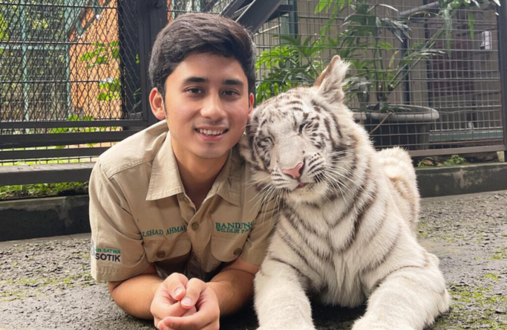 alshad ahmad harimau mati