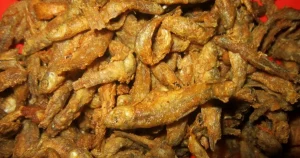 Resep Ikan Wader Goreng Dijamin Rasanya Nendang