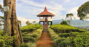 gunung di bandung - gunung malabar. (Istimewa)
