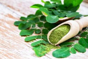Manfaat Daun Kelor