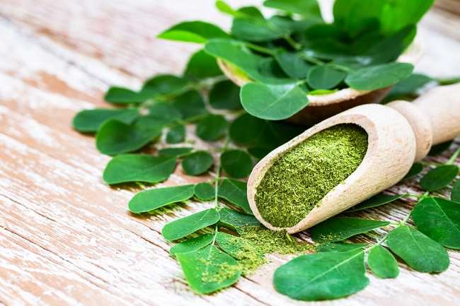 Manfaat Daun Kelor