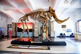 wisata edukasi di kota bandung - museum geologi. (Agenda Indonesia)