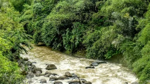 sungai di sukabumi