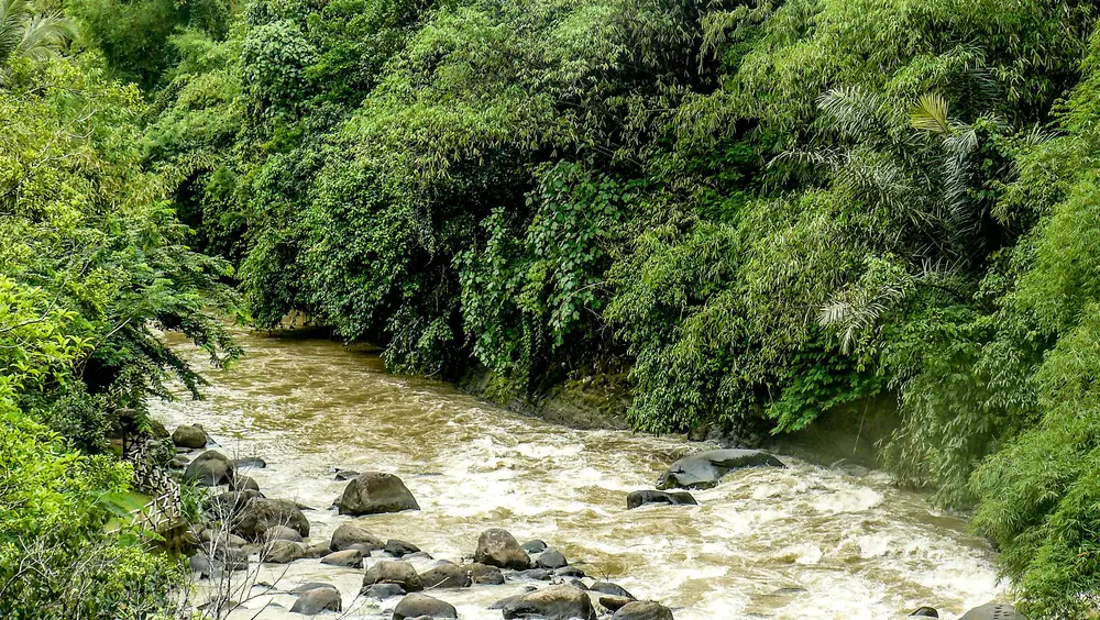 sungai di sukabumi