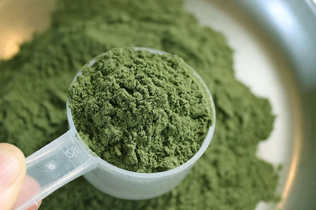 ekspor kratom