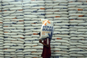 Mark Up Impor Beras Bulog Penggiringan Opini