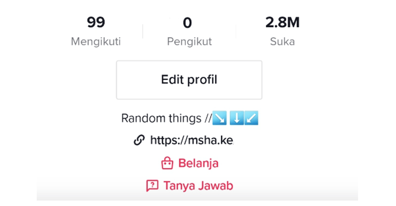Link di Bio TikTok