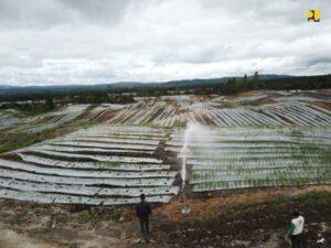 Mengenal-Food-Estate-yang-Disebut-Proyek-Kejahatan-Lingkungan