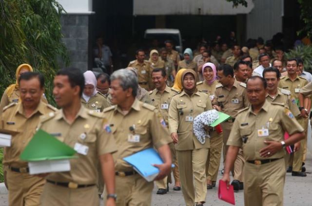 Penghapusan Honorer Ditunda, PPPK Part Time Gajih Disesuaikan Jam Kerja