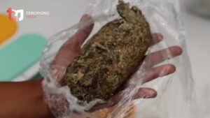 Polresta Kendari Berhasil Menggagalkan Upaya Penyelundupan 1 Kg Ganja Melalui Layanan Ekspedisi-20-08-2023