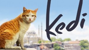 Rekomendasi-Film-Kucing-berikut-rekomendas-untuk-para-pecintanya
