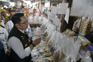 Mie formalin sumedang, Ridwan Kamil
