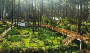 Wisata Murah Meriah di Kebon Pines Lembang