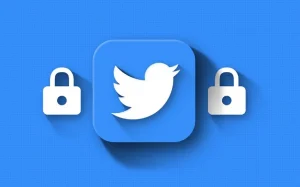 private akun twitter