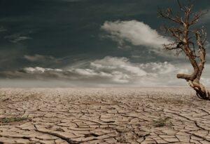 Fenomena El Nino