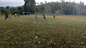 Lapangan sepak bola desa anggaran