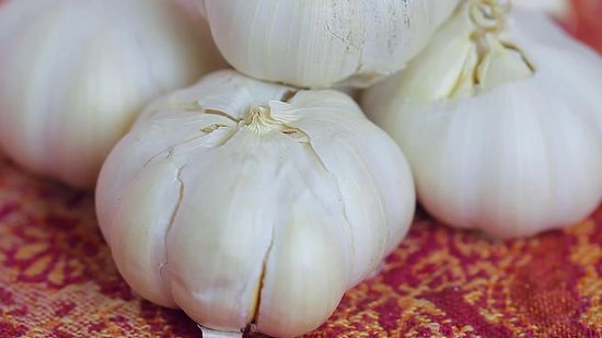 menyimpan bawang putih  