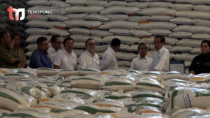 Alasan Presiden untuk Impor Beras dari Beberapa Negara-11-09-2023