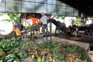 Memahami Pentingnya Pengolahan Sampah