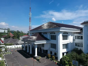 biaya pemilu