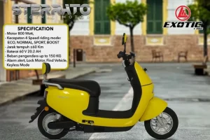 exotic sterrato