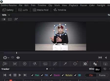 foto blur wajah di video