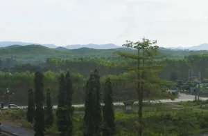 investasi IKN