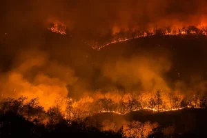 suhu ekstrem kebakaran hutan eropa california