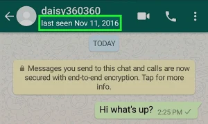 Tanda WhatsApp yang Diblokir