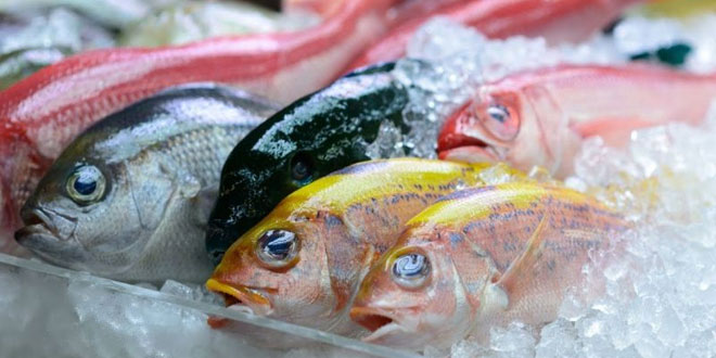 mencairkan ikan beku
