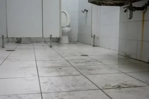 pembersih kerak kamar mandi