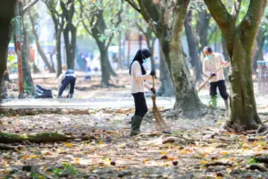 ubang Pembuangan Sampah Organik